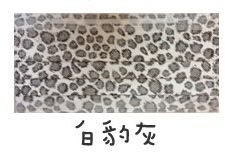 白豹灰拋棄式口罩